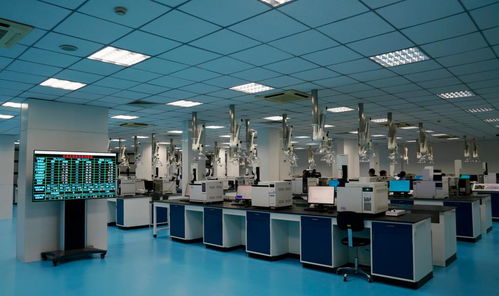 新聞多一點丨走進長江畔的九江石化綠色智能煉化工廠