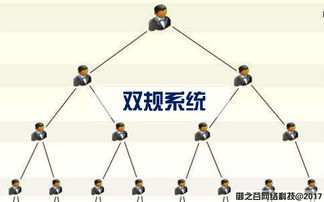 御之谷網(wǎng)絡(luò) 專業(yè)軟件開發(fā)與網(wǎng)絡(luò)開發(fā)服務(wù)的引領(lǐng)者